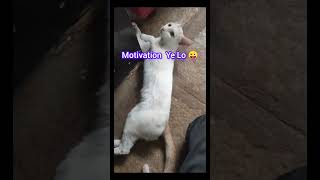 Motivation 😜 All app Stutas #weinioo72 #motivation
