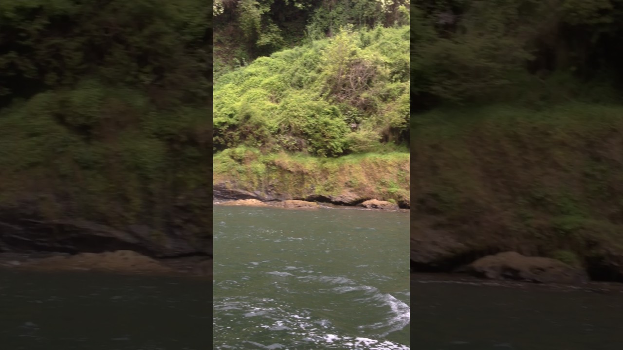 Salto Dañicalqui, Pemuco, Región del Bio Bio.