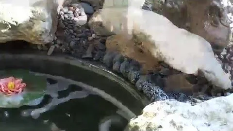 Touch n Foam Black Expanding Foam