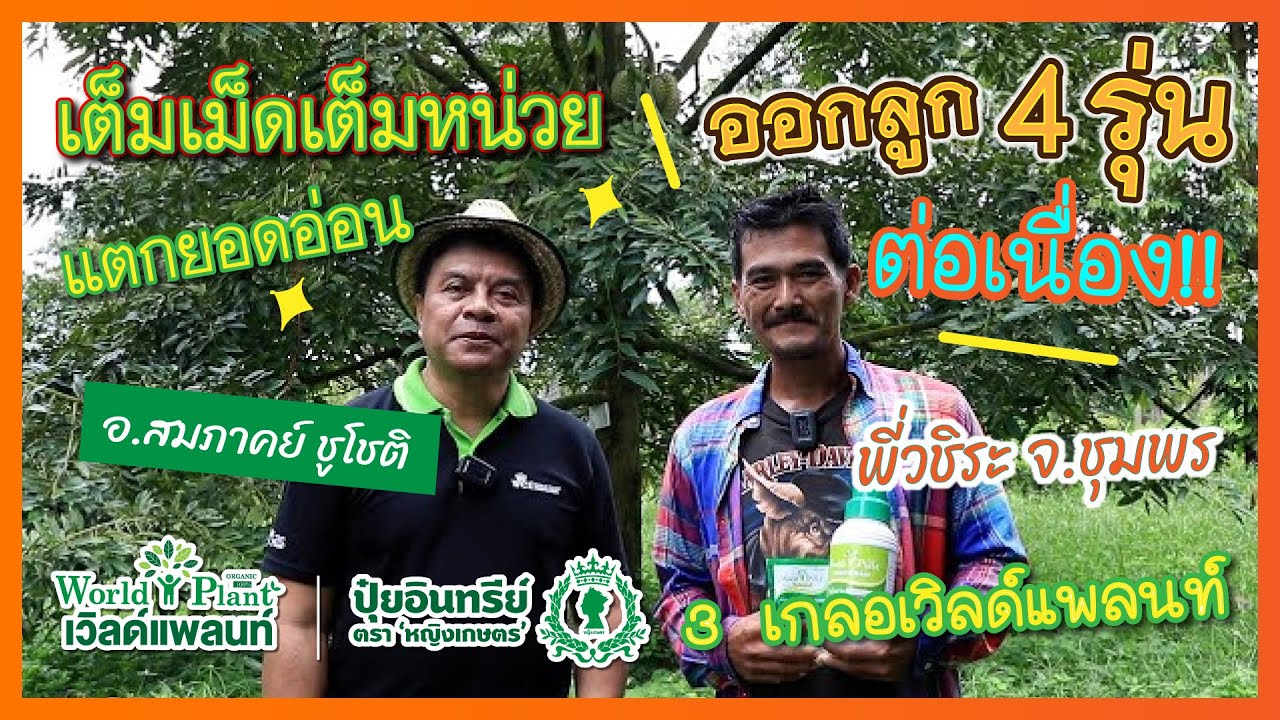 WCI : มหัศจรรย์สมชื่อ ! ดูแลด้วยคู่หู ติดลูก 4 รุ่น แตกยอดไม่ถีบลูก ! พี่วชิระ จ.ชุมพร