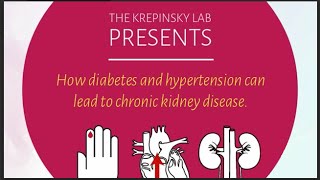 How diabetes and hypertension can lead to chronic kidney disease