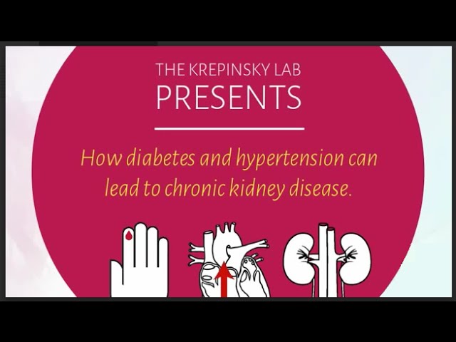 kidney disease diabetes and hypertension