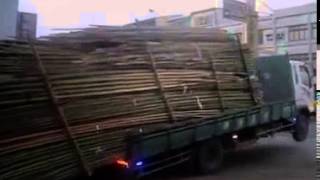 Amazing Truck Driver