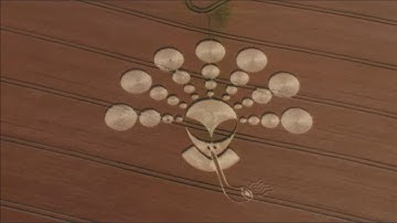 Pipe smoking alien crop circle