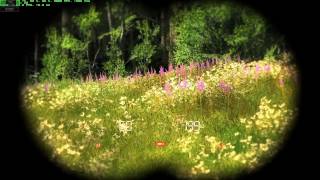 theHunter - Longbow before the aim was messed up.