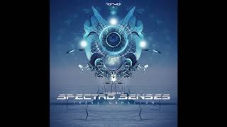 One Function - Yong Man On Acid (Spectro Senses)