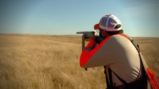 Hunting South Dakota Prairie Chickens (Classic 2015)