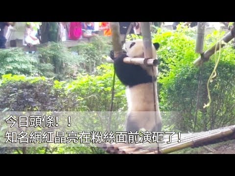 《熊貓早晚安》今日頭條！！知名網紅晶亮在粉絲面前演砸了！ | iPanda