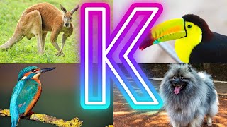 Animals And Birds Starting with K || Amazing  Animals Starting With K by InfoZillien 14,815 views 3 months ago 4 minutes, 16 seconds