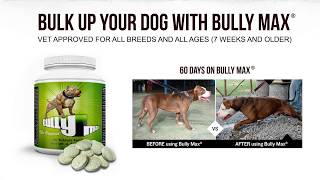 Bulk Up Your Dog With Bully Max