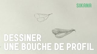 Bouche Profil Dessin