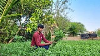 Life in the Countryside of India | 20 Peaceful Days of Farming