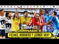 LIGA MX JORNADA 6 | FECHAS, HORARIOS Y ¿DÓNDE VER? | APERTURA 2024
