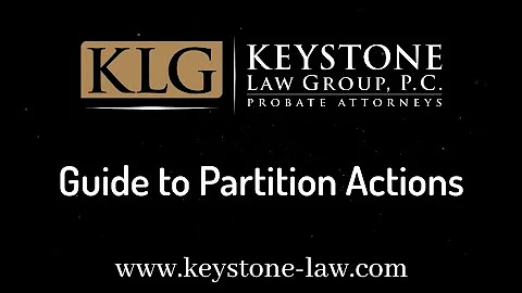 Guide to Partition Actions
