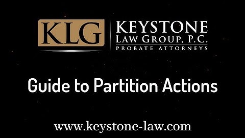 Guide to Partition Actions