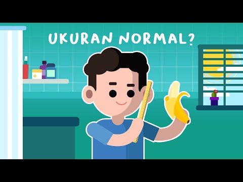 Ukuran Penis: Berapa yang Normal & Apakah Penting?