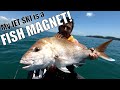 My Waverunner Fishing Jet Ski is a FISH MAGNET!