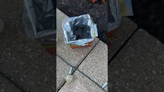 Best Air Freshener For Your Car? Chemicals Free And Environmentally Friendly