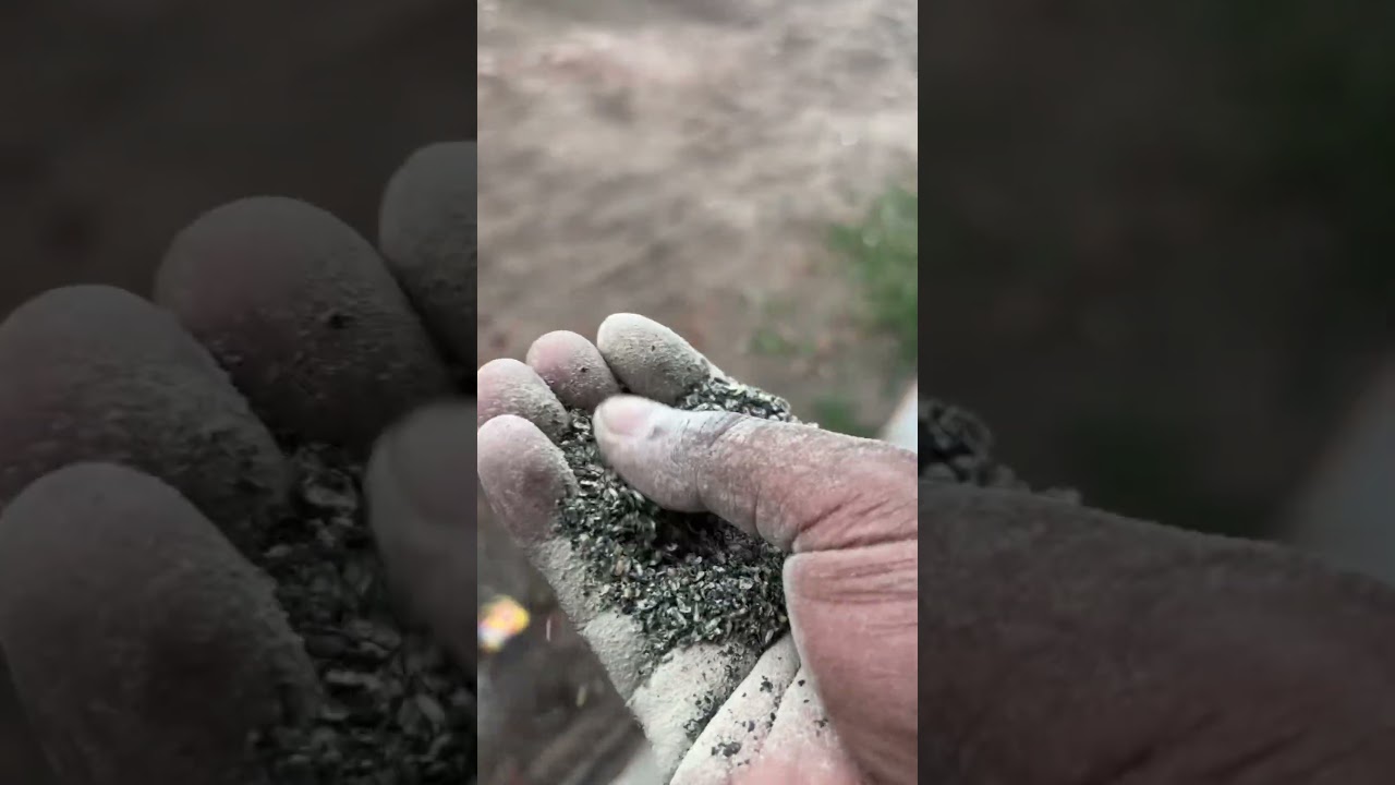 তামিম এগ্রো ফুড