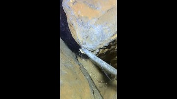 LIVE🔴-Diving under the sea to catch eels, crabs and sea cucumbers | P2-2