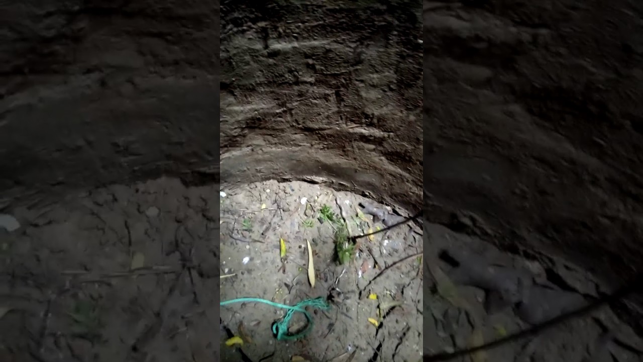 camera iphone 8 plus apk Catch the cobra and save the life