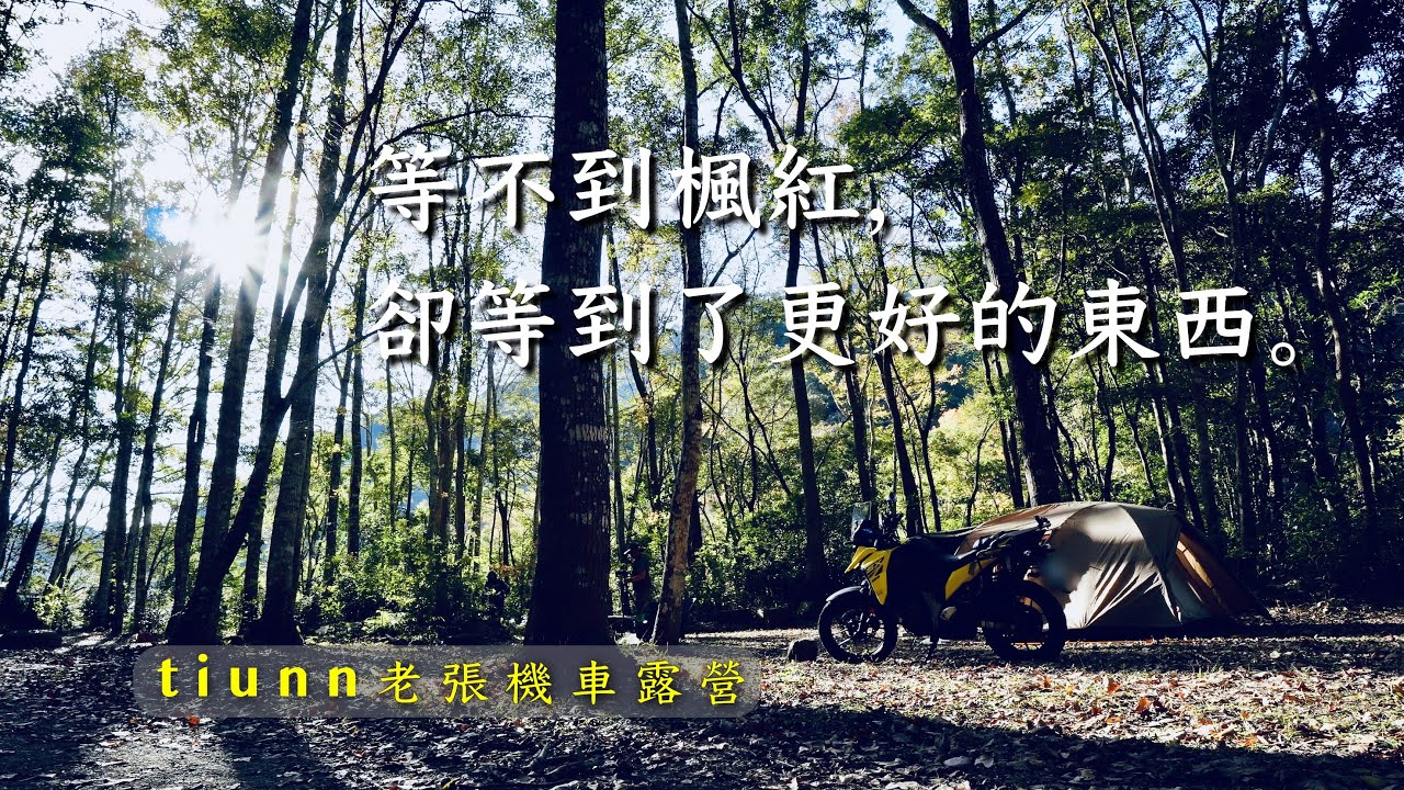 【機車露營】最有野味收費營區｜包場秀巒楓香林｜焚火後再去湯屋泡溫泉｜V-STORM 250SX鈴木小油鳥