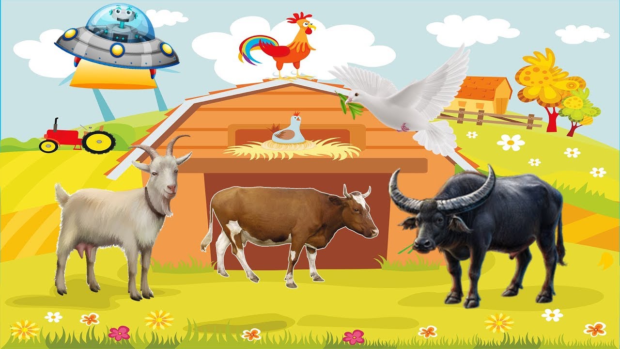 Learn Animals Names And Sounds Goat Cow Dove Buffalo With Learn Animals Names And Sounds Goat Cow Dove Buffalo With