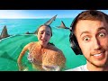 Shark attack miniminter reacts to daily dose of internet