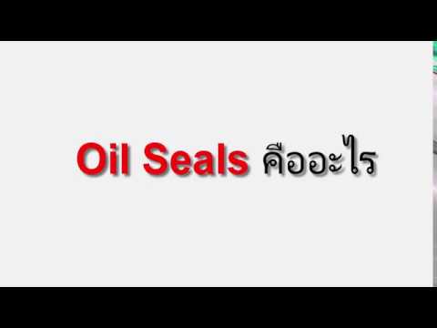 OIL SEAL คืออะไร , WHAT IS OIL SEAL ??