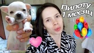 VLOG: Утро у свекрови / Покупаем стройматериалы / Клим танцует