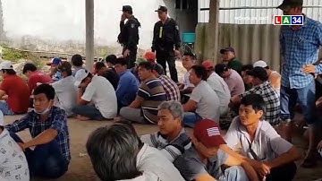 Tiền Giang: Triệt phá tụ điểm đánh bạc dưới hình thức đá gà ăn thua bằng tiền | LONG AN TV
