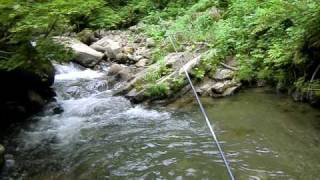 岩魚釣り　実践テンカラ４連発　part1