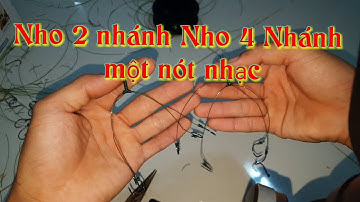 HƯỚNG DẪN LÀM CHÙM NHO CÂU CÁ (2 NHÁNH VÀ 4 NHÁNH ) NHANH NHẤT