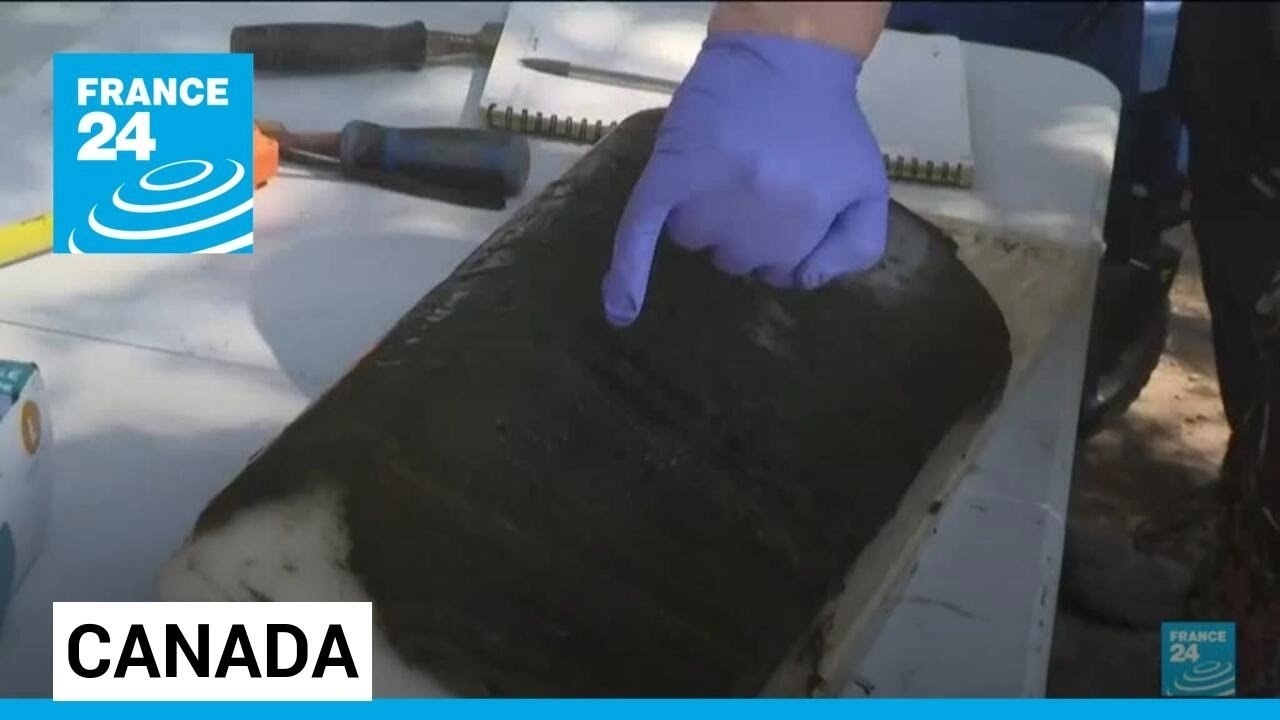 The Anthropocene era: Scientists identify new geologic epoch in Canadian lake • FRANCE 24 English