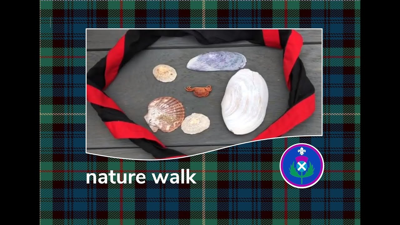 Scottish Thistle Award nature walk YouTube
