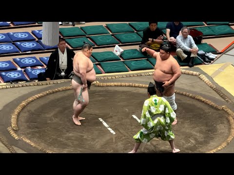 ジャスミンです。佐田の海 朝乃山 YouTube