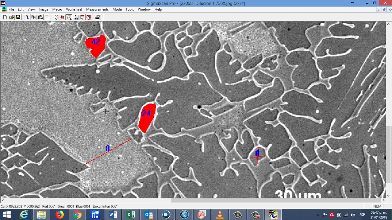 Sigmascan 2 SigmaScan Obtener el área para porcentaje de fases SLHT - YouTube