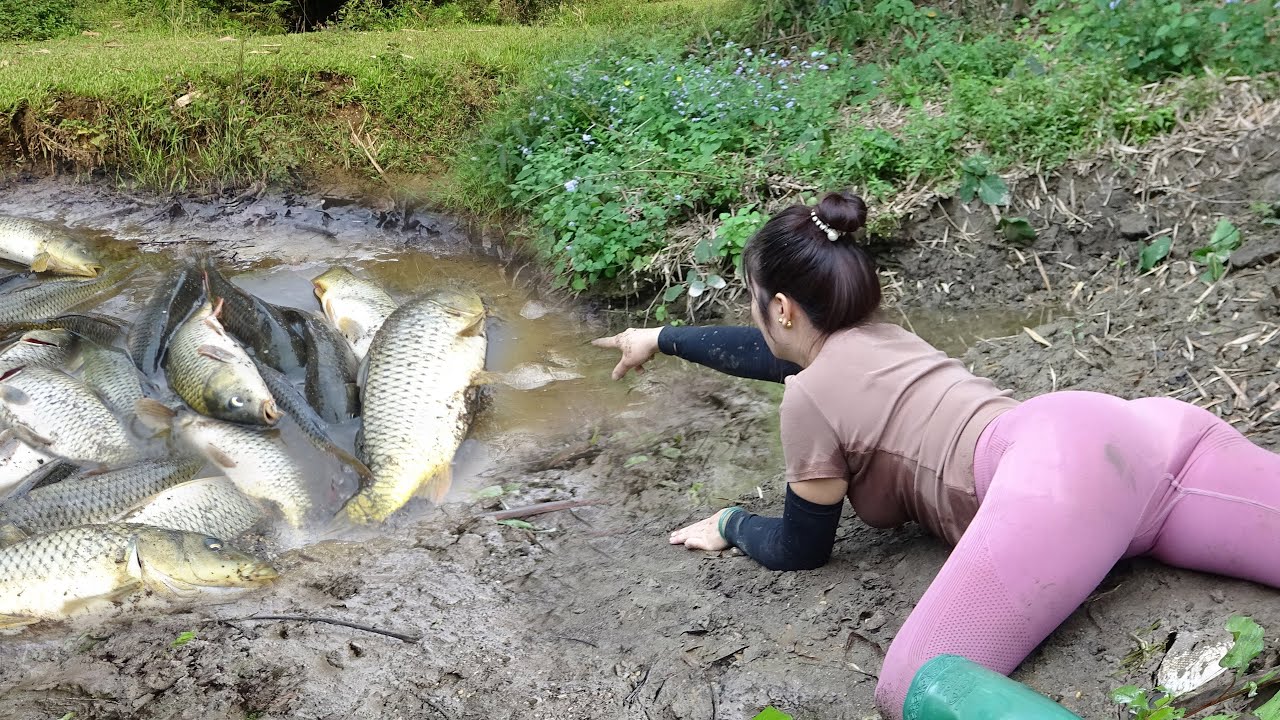 Girl Used Bait To Lure Fish Into The Puddle, Used a Pump to Suck Up All ...