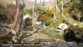 CAPELLI DI VENERE - CASALETTO SPARTANO SA - FEBBRAIO 2017
