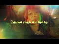 Misha Miller - Un minut | Official Lyric Video