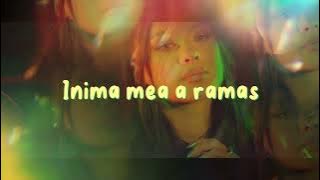 Misha Miller - Un minut |  Lyric Video