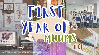 :   ~ First year student of MNUMS