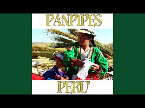 Fly Project - Fuerte Olimpo