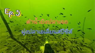 Ep.5 ดำน้ำยิงปลาเขื่อนสิริกิติ์ เจอฝูงปลาเอเลี่ยนสปีชีส์