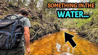 We Found INCREDIBLE Relics in My Favorite Creek... Then We Were FORCED To Leave!
