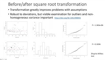 028j Transformation and regression