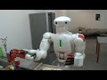 Robots of Waseda: TWENDY-ONE
