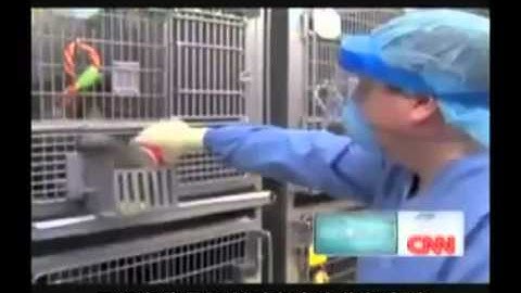 CNN feature of lifeGEN   Caloric restriction