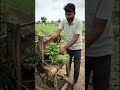 How to make AI video for free | Free Ai video generator # #videoediting #shorts #ai #viral #explore😂