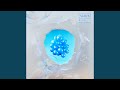 Beautiful Bird (Instrumental)